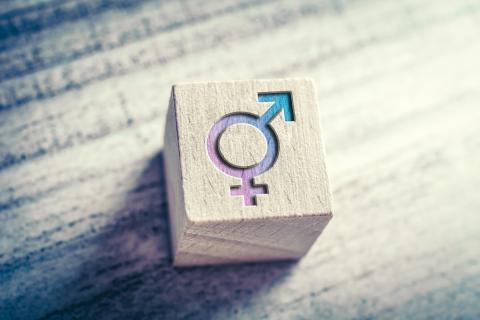 Intersex? Variationen der Geschlechtsmerkmale? Eine Veranstaltungsreihe zum Lernen und Lehren